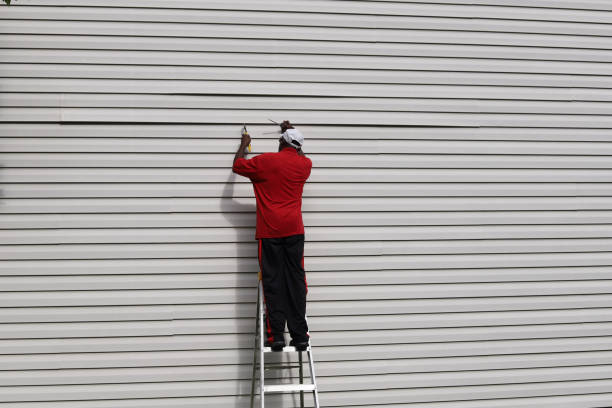Best Insulated Siding Installation  in Tama, IA